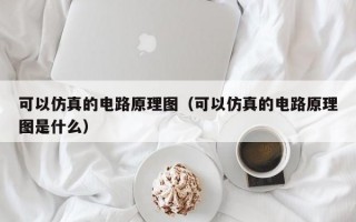 可以仿真的电路原理图（可以仿真的电路原理图是什么）