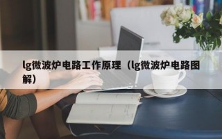 lg微波炉电路工作原理（lg微波炉电路图解）