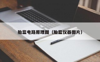 胎监电路原理图（胎监仪器图片）