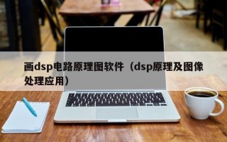 画dsp电路原理图软件（dsp原理及图像处理应用）